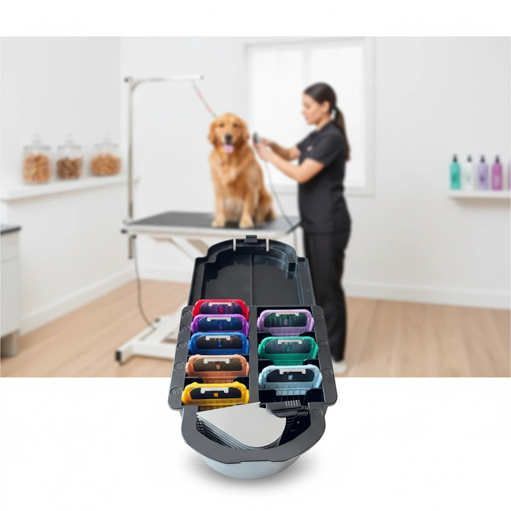 Pet & Lifestyle